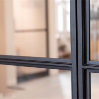 cửa kính khung sắt sơn tĩnh điện